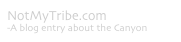NotMyTribe.com
-A blog entry about the Canyon